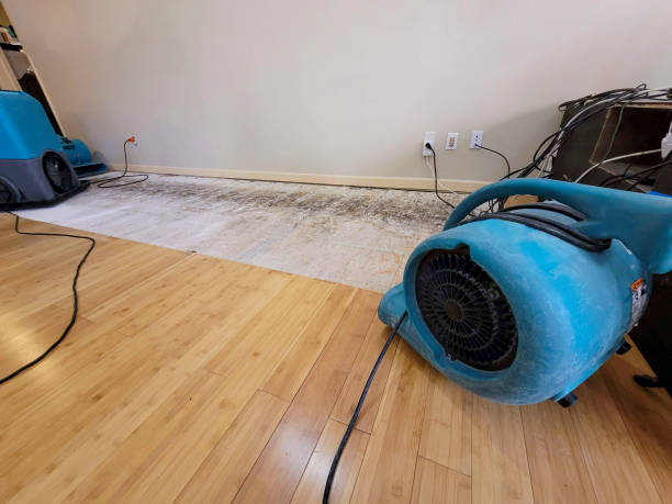 Professional Structural Drying technician working in Arlington, TN